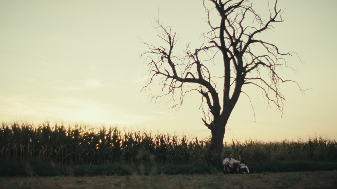 A couple sitting under a bare tree in a field at sunset