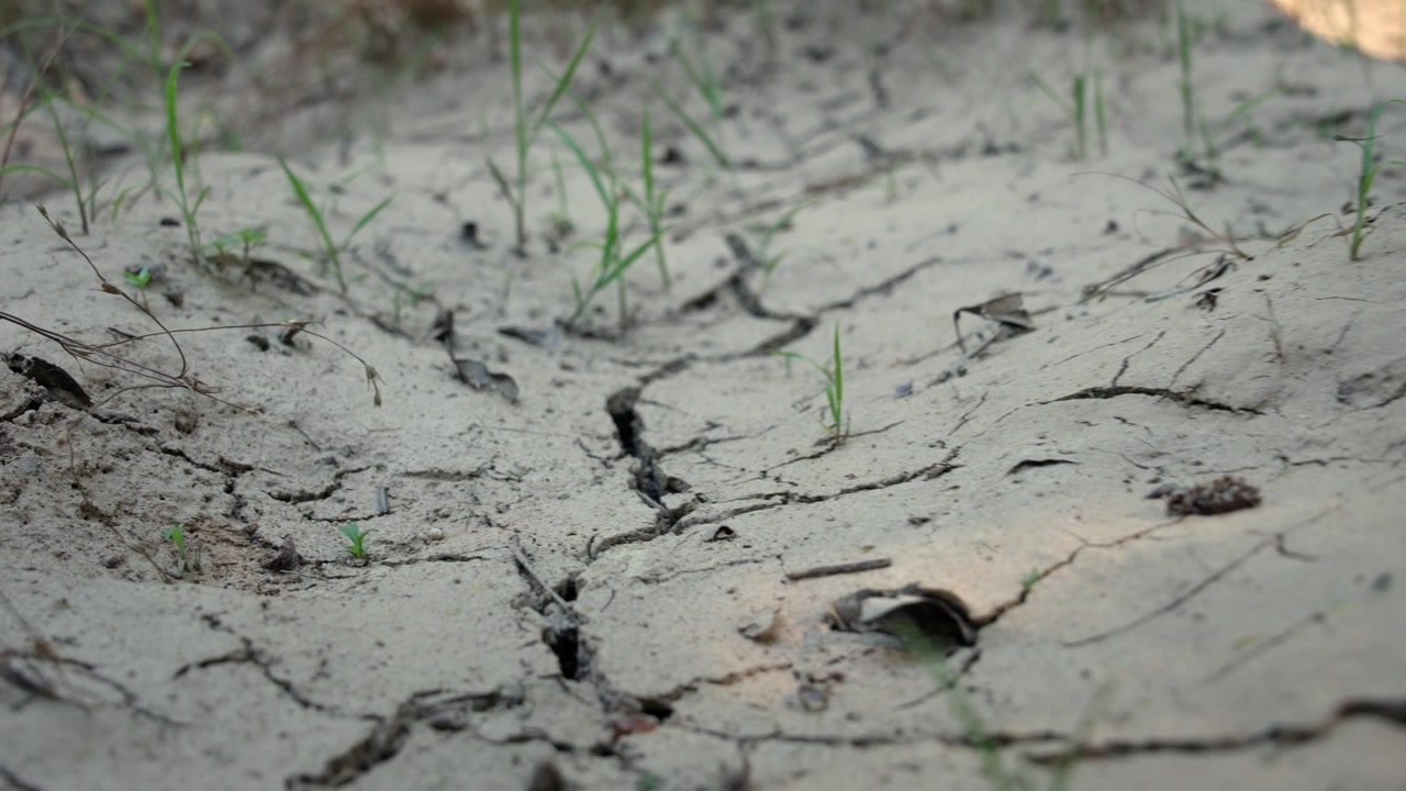 Paesaggio arido con texture di terreno screpolato che illustrano il pericolo ambientale, la deforestazione e gli effetti del clima estremo.