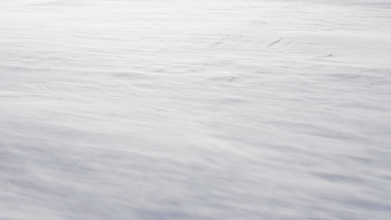 눈 폭풍, 강한 바람이 눈을 불어넣고, 바람이 불고 있는 겨울 장면. 눈으로 쓸린다. 겨울 배경