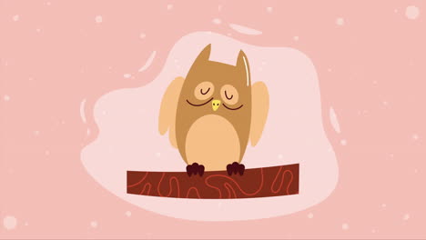cute owl in tree branch animation
