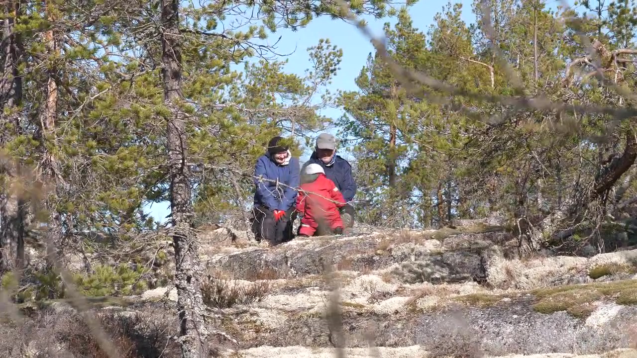 Famiglia multigenerazionale che fa escursioni nel bosco, con una pausa picnic su una collina ventosa, inquadratura lunga.