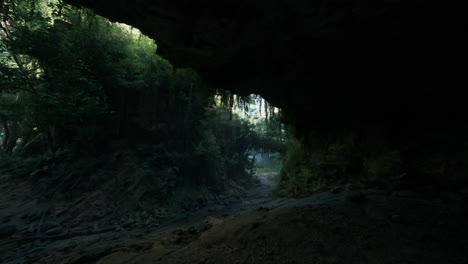 un camino oscuro y misterioso a través de una cueva de bosque exuberante