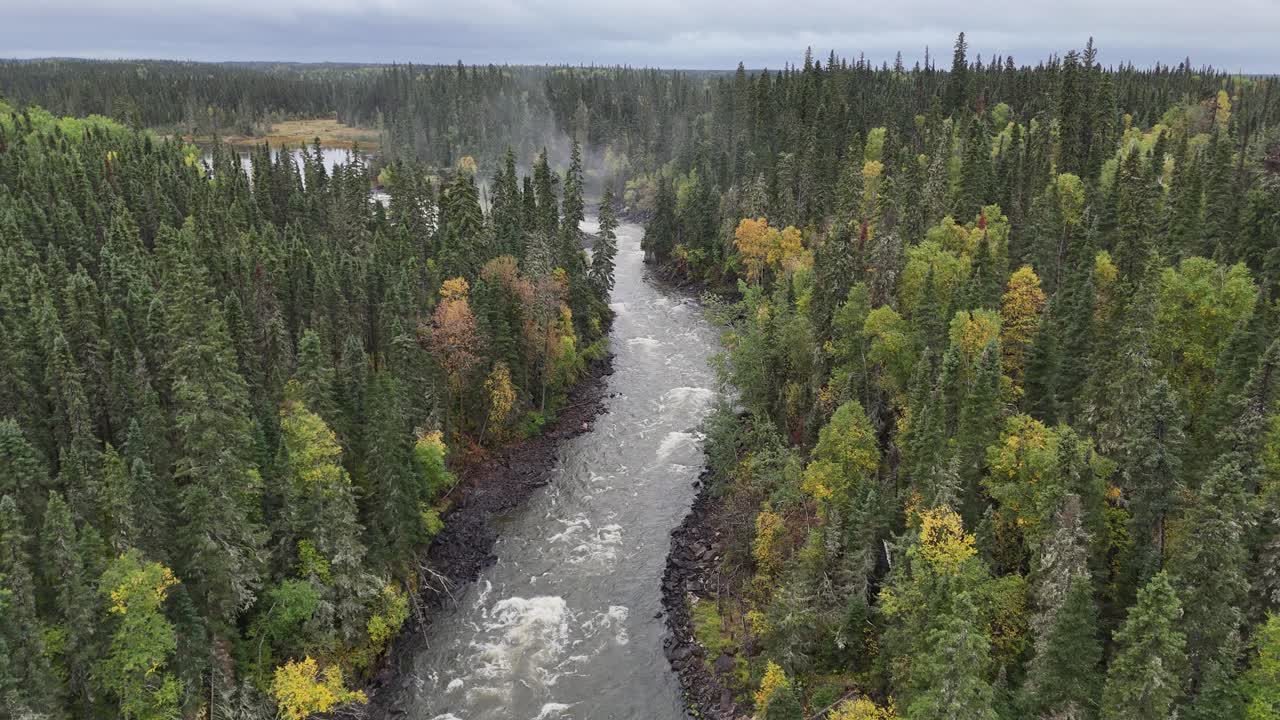 Ilmadrone lentää korkealla Grass-joen yläpuolella Manitoban pohjoisosassa, Kanadassa, seuraten sitä ylävirtaan kohti riippusiltaa. Kosket sillan alla ja joen mutkat näkyvissä syksyn lehtien väriloiston kera.