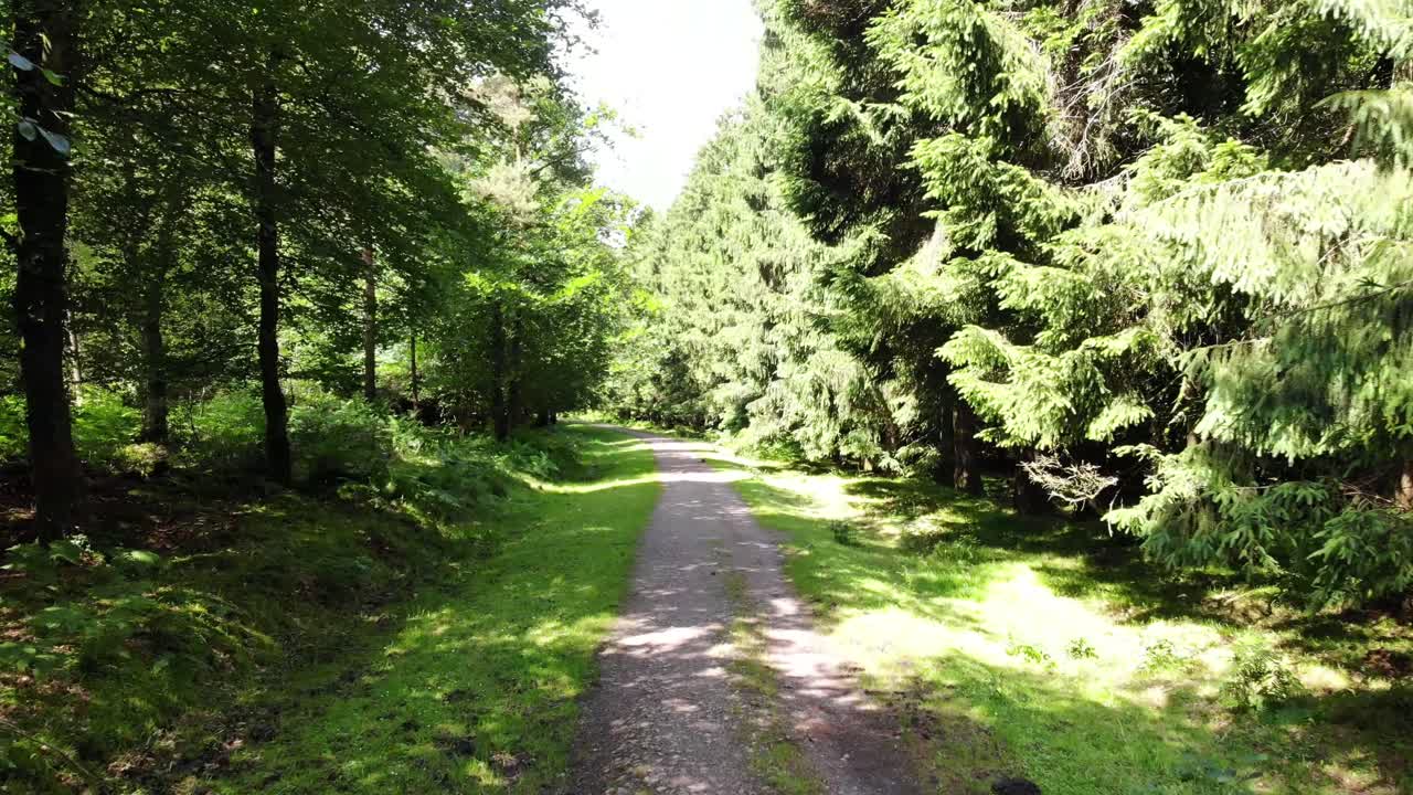 Gravel path meandering through lush green forest in Staple Hill, part of the Blackdown Hills AONB on a sunny summer day. Aerial Shot
