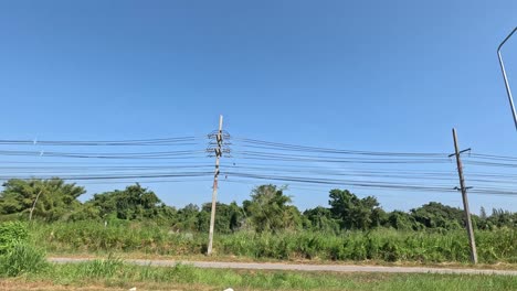 vehicle moving past greenery under clear skies