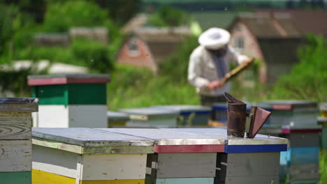 bees chimney on a hive. beekeeper working at apiary in summer in rural place. many beehives standing on grass. beekeeping process.