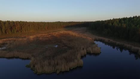 Misty-morning-sunlight-over-autumn-forest-lake-and-scenic-countryside-landscape-aerial-wide-view