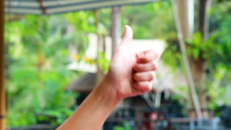 a hand gives a thumbs-up gesture against a lush, green tropical backdrop, conveying positivity and approval