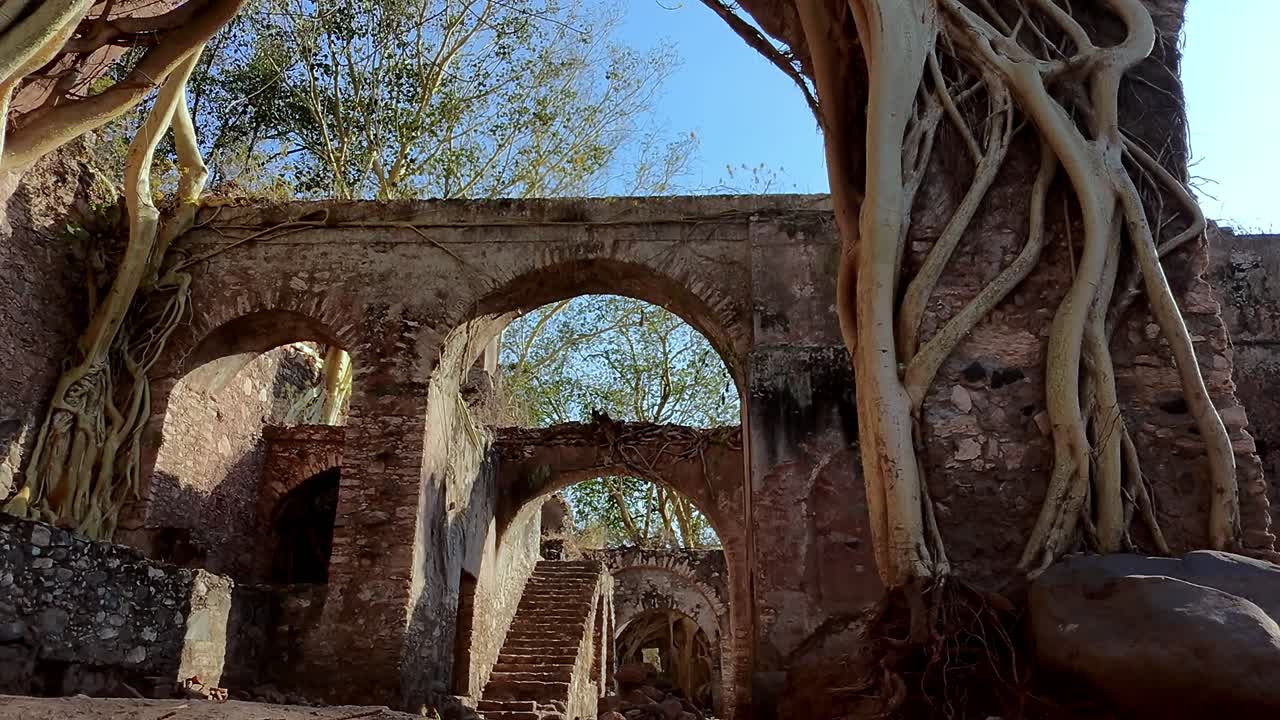 Ancient ruins of Hacienda Ixtoluca, Morelos Mexico with large tree roots growing on stone walls