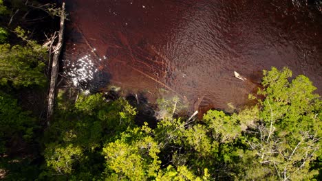 ascending overhead view discovering a red river in the middle of a virgin forest, pollution and damage to nature