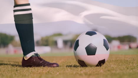 on grassy field, soccer player preparing to kick ball during animation session