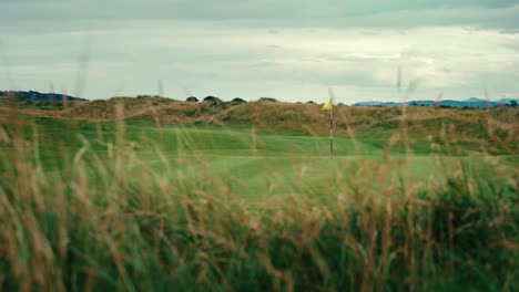 flagstick on ireland links golf course putting green peeking from behind tall grass rough foreground, blowing in the wind in slow motion