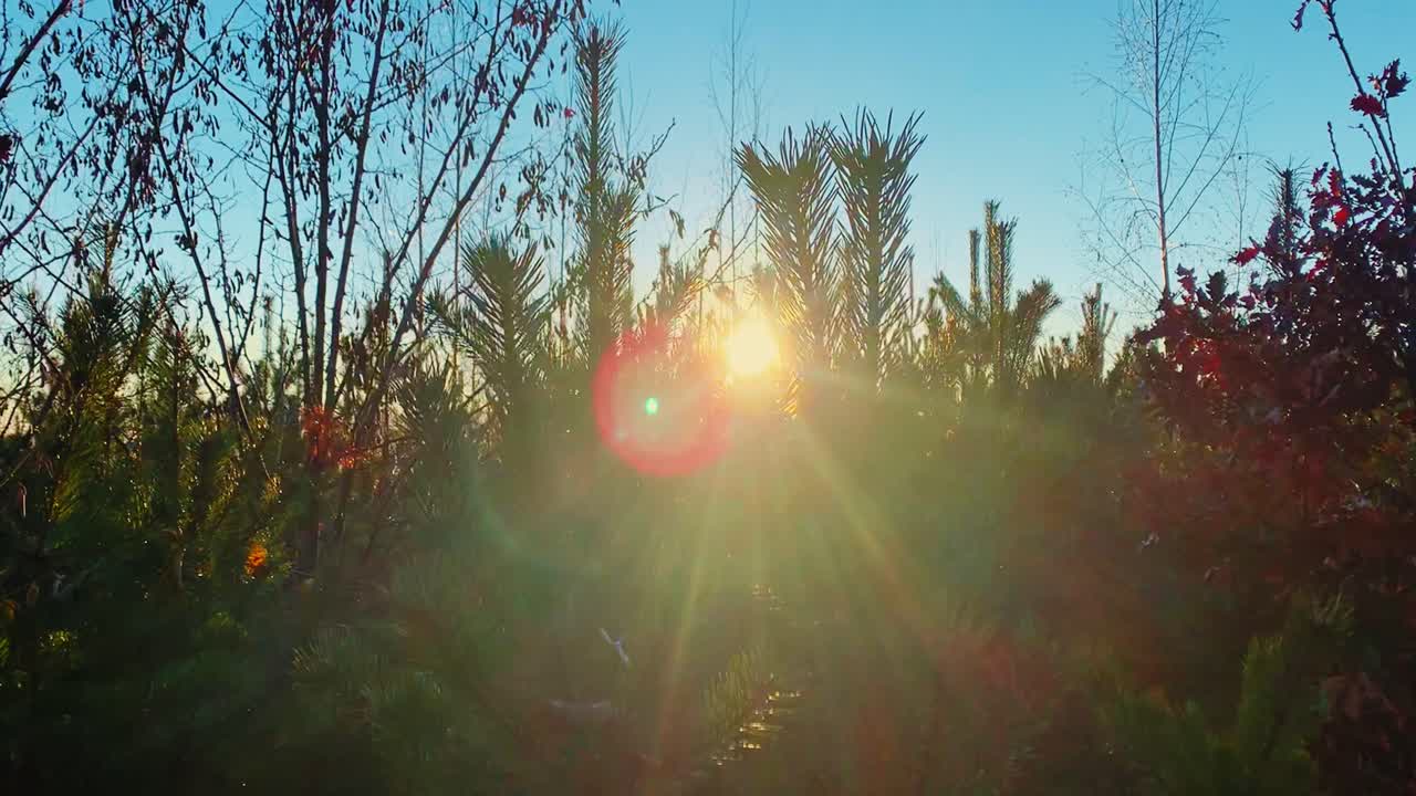 puesta de sol sobre tres pequeños con cielo despejado