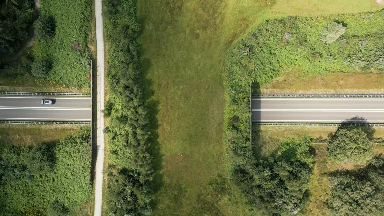 Aerial View of Roads and Bridges Crossing Through Green Landscape