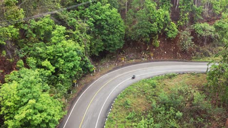 aerial shot of bike riding in the curvy street in between the dense forest