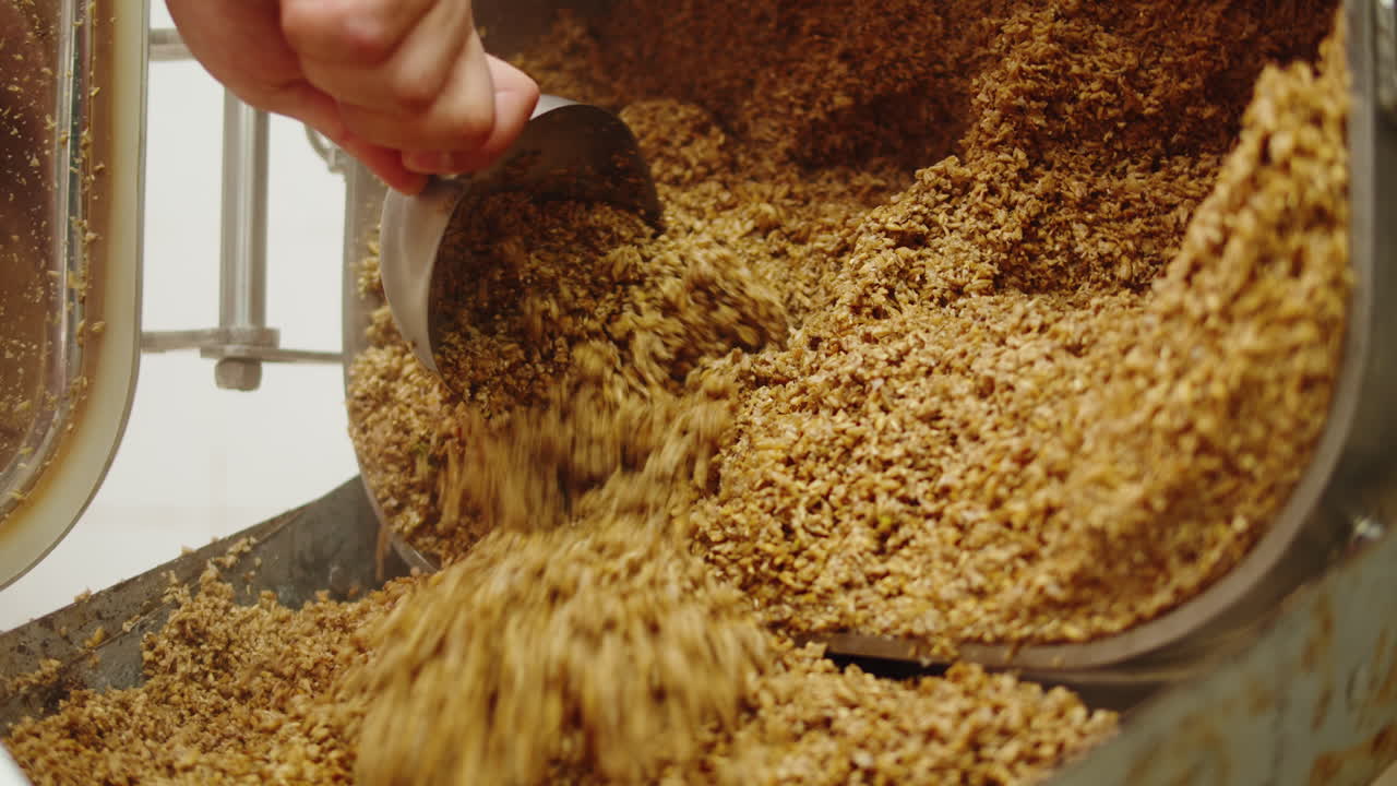 Craft beer production factory, brewery manufacture. Putting barley malt grains in conveyor close-up. Brewing, cooking alcohol in metal vats bottles