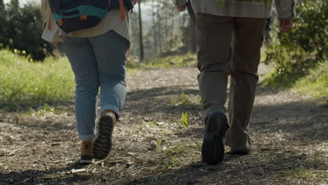 close up shot of two people walking along dirt path in national park or forest