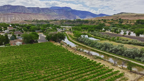 drone flyover of a vineyard in palisades, colorado