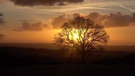 a dramatic evening sky over english countryside