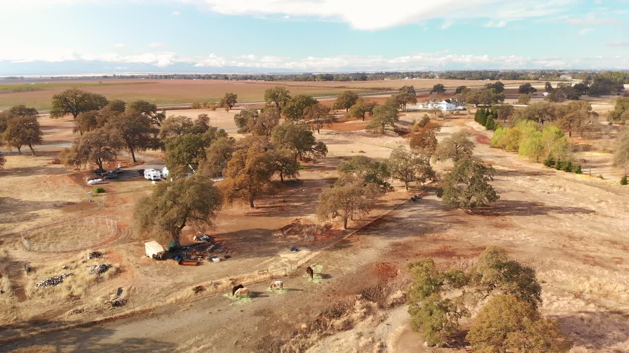 시골 농장 의  에 있는 말 들 을 날아다니는 공중 드론
