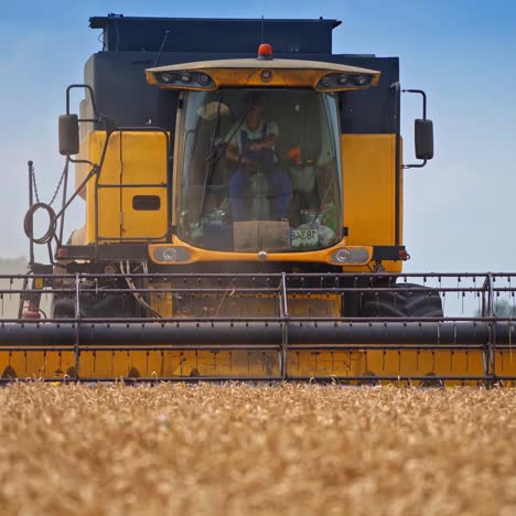 huge combine harvester working on the agricultural field and gathering crops. combiner ruling a big harvester machinery in wheat field