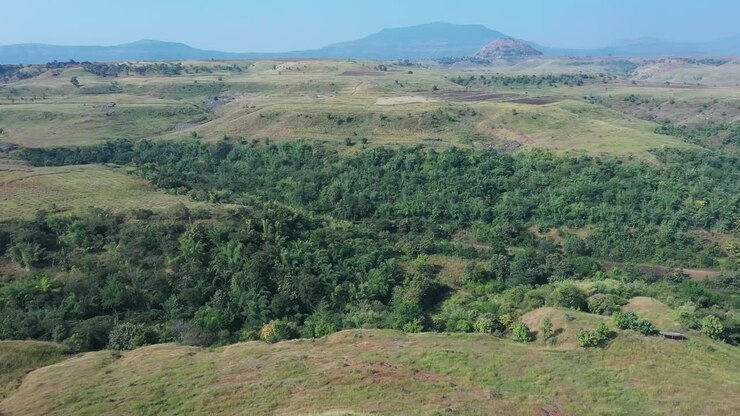 Aerial: Sustainable Forest Plantation in a valley with artificial lakes to water the plants in India - clean and green valley