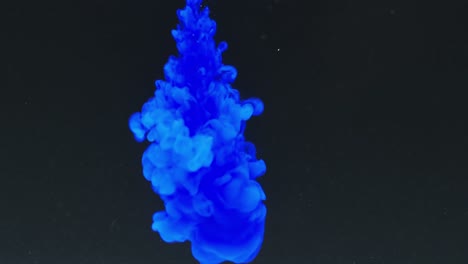 video en cámara lenta de tinta de acuarela azul mezclándose en agua contra un fondo negro