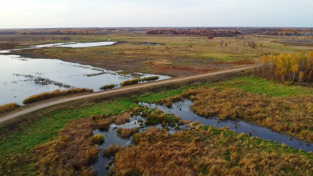Autumn wetland landscape, with a dirt road bordering the area with withered vegetation in yellow and brown tones.