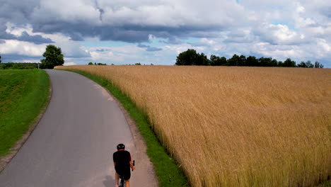 male triathlete cycling road bicycle in the morning on a sunny day, riding uphill winding road by a golden wheat field in a rural polish landscape - aerial tracking back view