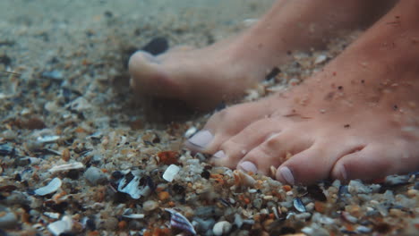 feet, sea and shells with the barefoot woman