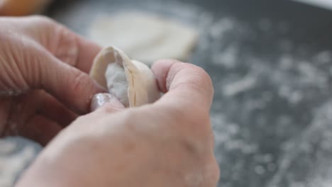 two hands making meat dumplings.