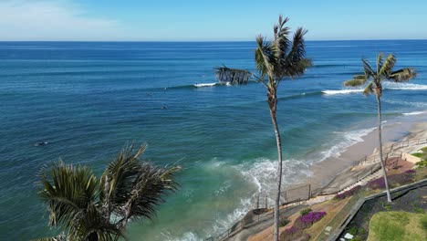 Drone-shot-of-three-palm-trees-swaying-in-the-breeze-in-southern-California-revealing-surfers-surfing