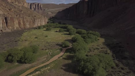 pinturas river canyon with green plants