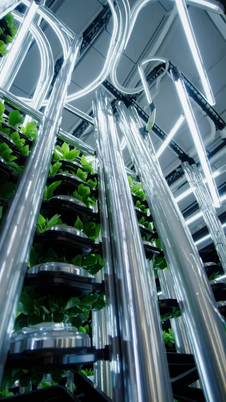 Futuristic vertical farm with neon lights, captured from a low-angle