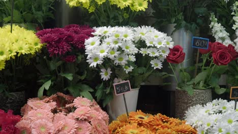 variedad de flores en una floristería