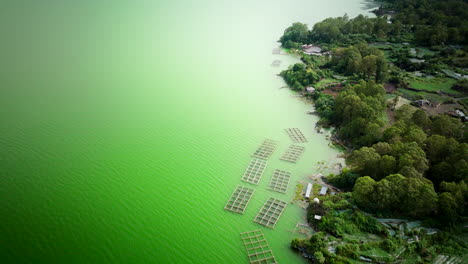 Grünes-Wasser-Des-Batur-Sees-Aus-Vulkanischen-Ablagerungen,-Tilapia-Fischfarm