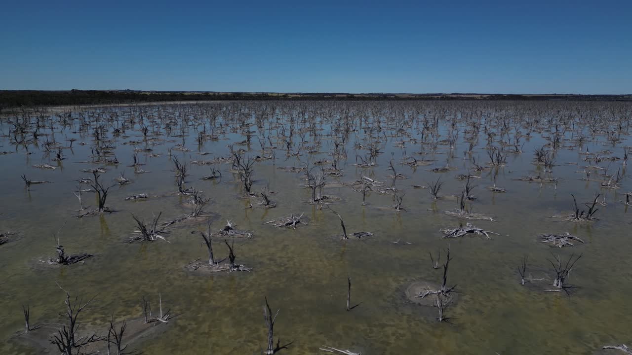 Drone Flying Over Dried Out Taarbin Lake in Australia, Land Clearing