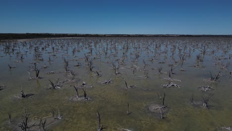 Drohne-Fliegt-über-Den-Ausgetrockneten-Taarbin-See-In-Australien,-Rodung