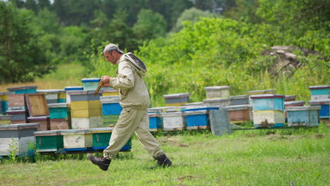 beekeeper holding honey combs with bare hands and shaking off the bees. man changing frames in the beehive. bee farm background.