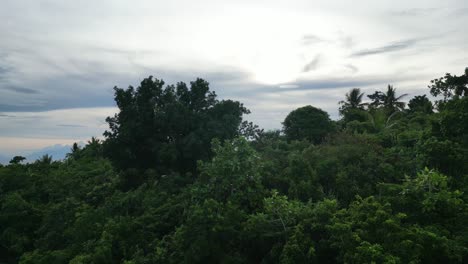 High-Contrast-Aerial-view-of-tree-covered-hills-in-Philippine-island-revealing-breathtaking-cloudscape-and-pristine,-calm-ocean-waters