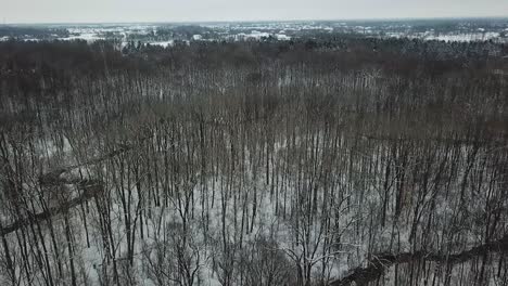 Ariel-Vista-De-Arboles-Y-Nieve