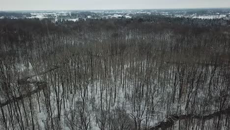 ariel view of trees and snow