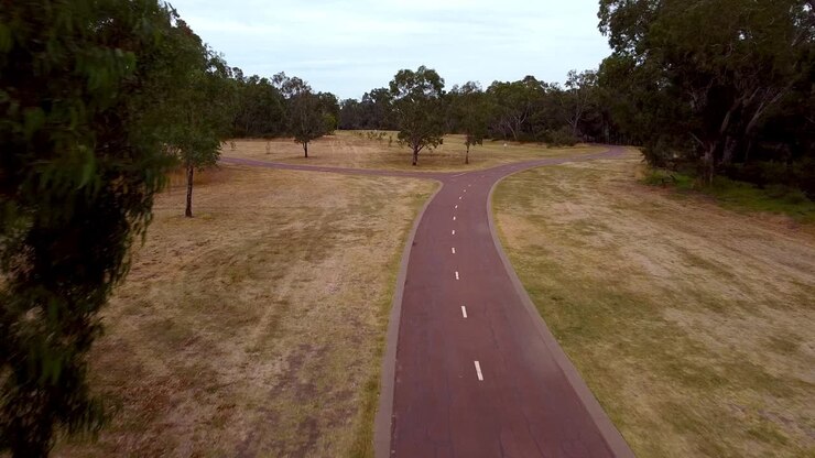 Inquadratura aerea frontale di una pista ciclabile e un sentiero pedonale tra alberi su entrambi i lati.