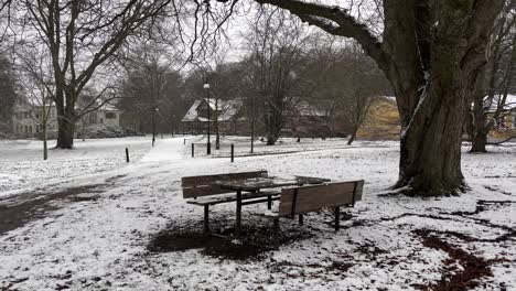 Schneit-Draußen-Im-Schwedischen-Park