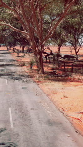 empty road through the australian outback