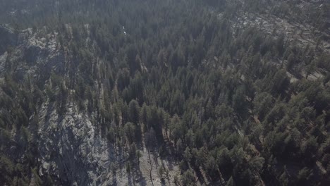 Aerial-Drone-Shot-of-Forest-in-Yosemite-National-Park