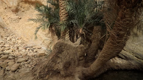 Panoramic-Reveal-Of-Chebika-Waterfall-In-Mountain-Oasis-Of-Tozeur-In-Tunisia