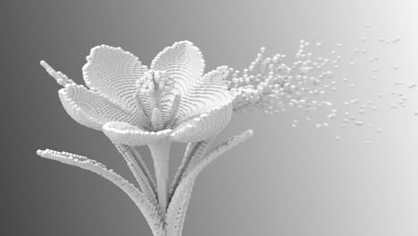 digital flower disintegrates to 3d pixels