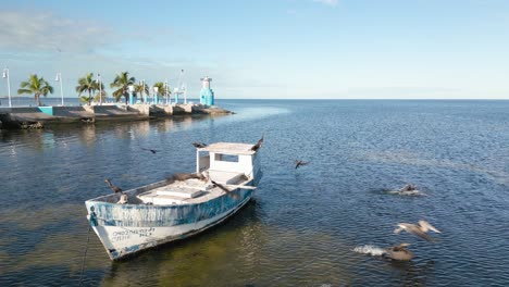 Aerial-drone-view-of-Campeche-seashore-where-pelicans-sit-in-an-old-colourful-boat