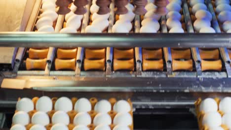 the process of sorting chicken eggs with a suction machine based on predetermined size standards